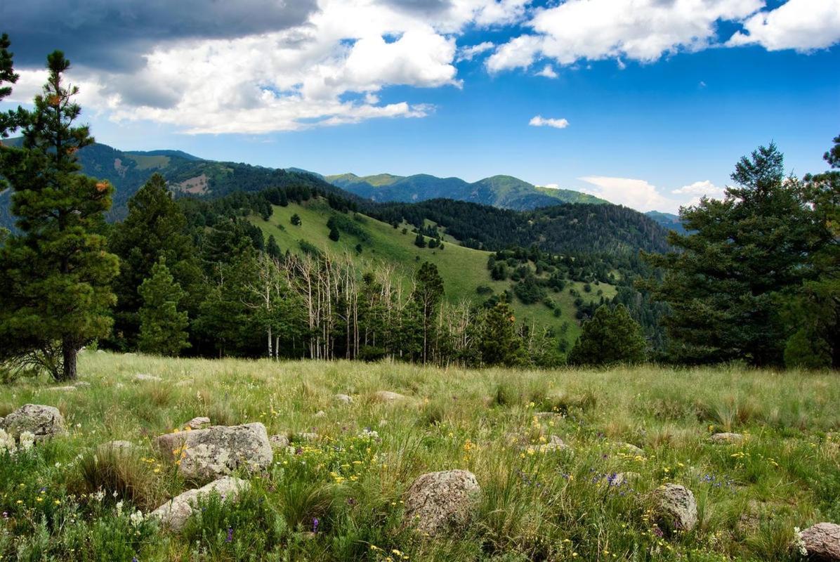 Destiny Cabin, 2 Bedrooms, Fireplace, Midtown, Sleeps 7 Ruidoso Dış mekan fotoğraf